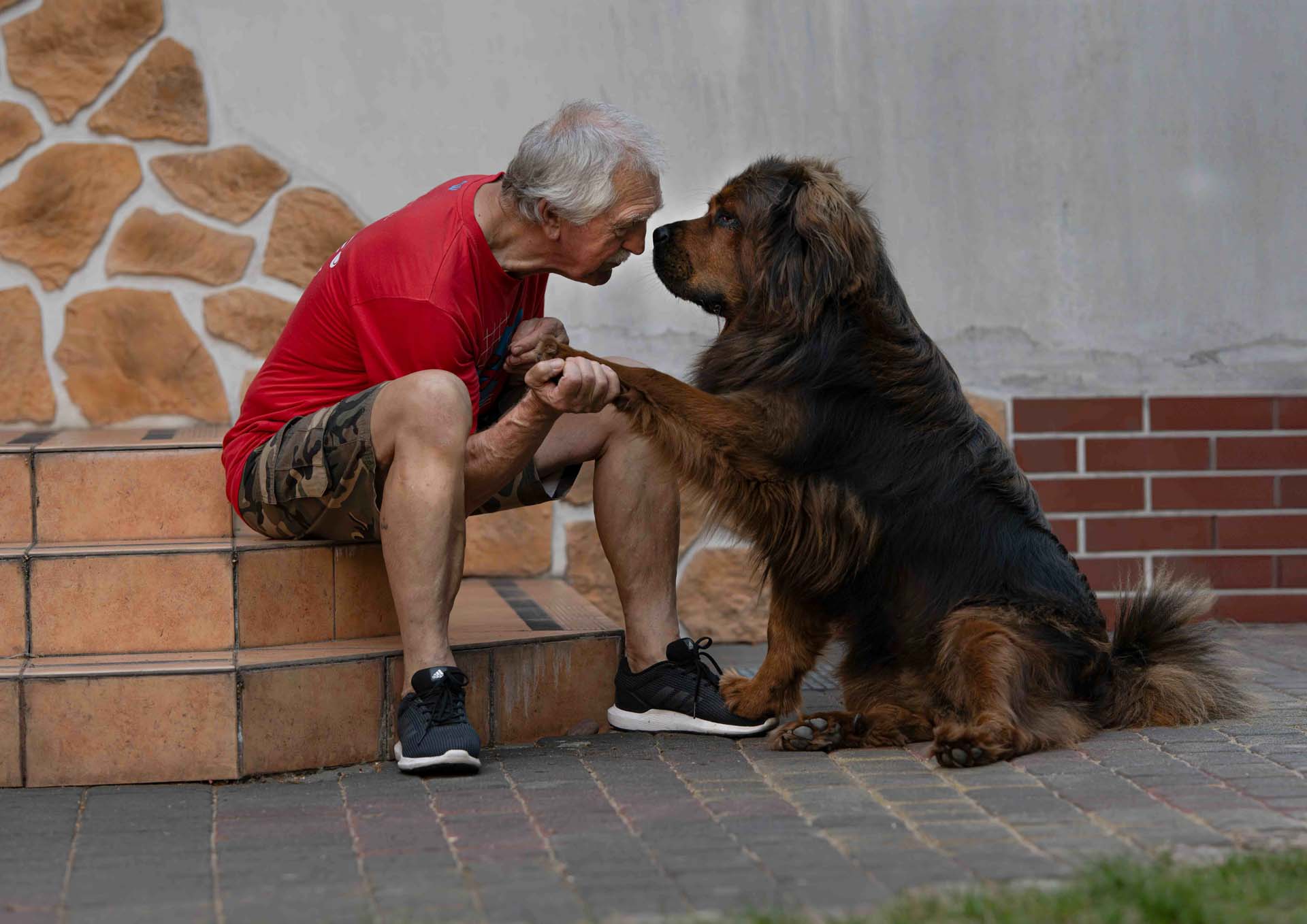Portret psa i jego pana
